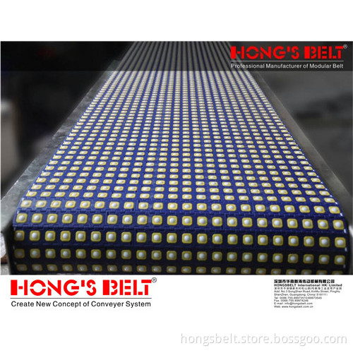 The Logistic Sorting Modular Belt (HS-2800C)